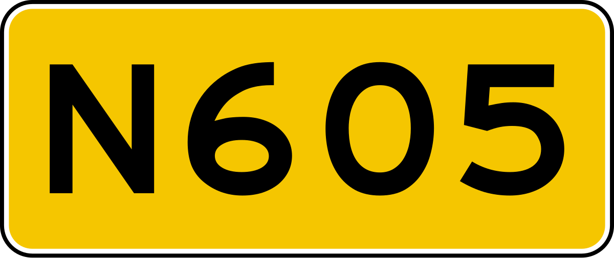 N 29