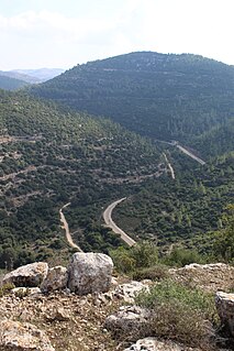 Nahal Sorek river in Israel