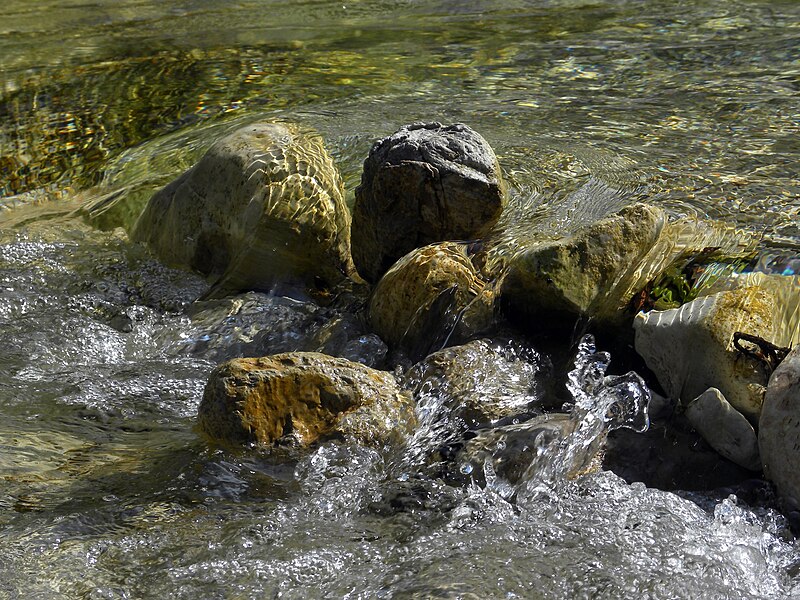 File:Naturpark Ötscher-Tormäuer - klares Wasser im Ötscherbach.jpg