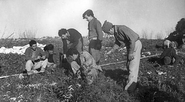 Palmach land mine trading in Neve Ilan, 1947