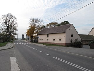 Niwki, Strzelce County Village in Opole, Poland