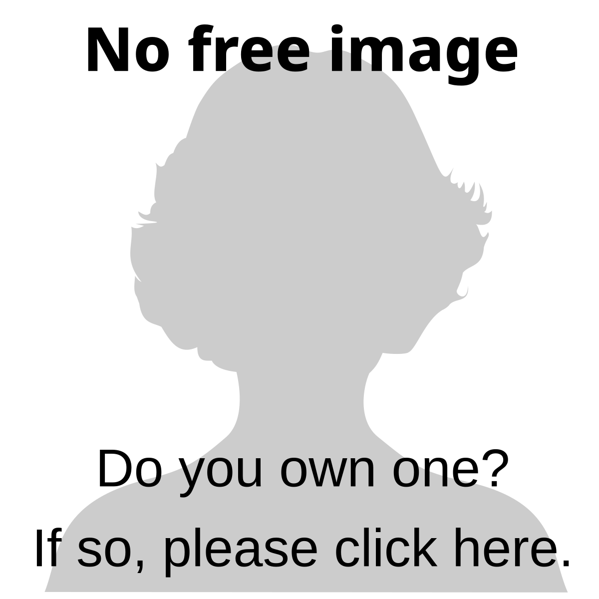 Download File No Free Image Woman Svg Wikipedia