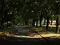 Čeština: Město Nové Strašecí v okrese Rakovník, zde sady v severní části města nápověda English: Park in northern part of Nové Strašecí town in Rakovník district, Central Bohemian region, CZ