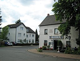 Nußbaum in Bergisch Gladbach