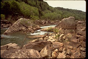 Obed Wild and Scenic River OBRI4352.jpg