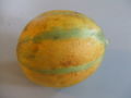 Melon Ogen1