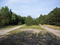 English: Two ways of forest road in Bolimów Forest Polski: Dwupasmowa droga leśna w przecince w Puszczy Bolimowskiej Deutsch: Zwei Waldstraßen in Bolimów Forest