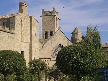 Vista del Palacio de Olite