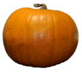 Pumpkin