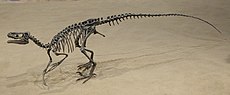 Ornitholestes Royal Tyrrell 2.jpg