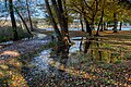 * Nomination Flood water on the peninsula promenade, Pörtschach, Carinthia, Austria -- Johann Jaritz 02:29, 10 November 2023 (UTC) * Promotion  Support Good quality. --XRay 04:48, 10 November 2023 (UTC)