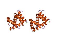 PDB 1kx9 EBI.jpg