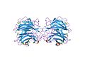 Thumbnail for Fungal fucose-specific lectin