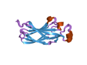 PDB 1tey EBI.png