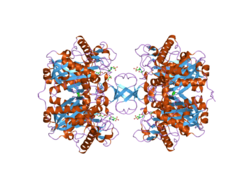 PDB 2ib8 EBI.png