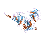 2pso: Human StarD13 (DLC2) lipid transfer and protein localization domain