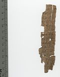 Miniatura para Papiro 119