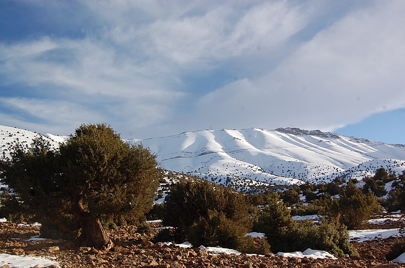 File:Passåjhe Ayites Imi pectî.jpg