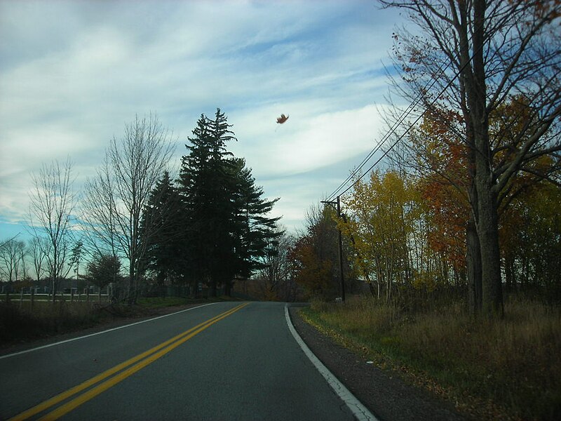 File:Pennsylvania State Route 167 - 4171070158.jpg