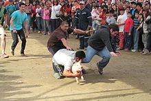 Pig wrestling, Chile Persecucion del Chancho.JPG