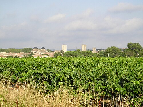 Rideau métallique Pignan (34570)