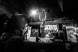 Placenta live @ Beach Rock Helenesee Festival 2012.jpg