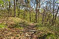 English: Forest hiking trail Deutsch: Waldpfad