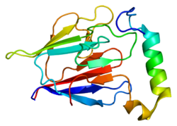 Протеин MKI67IP PDB 2aff.png