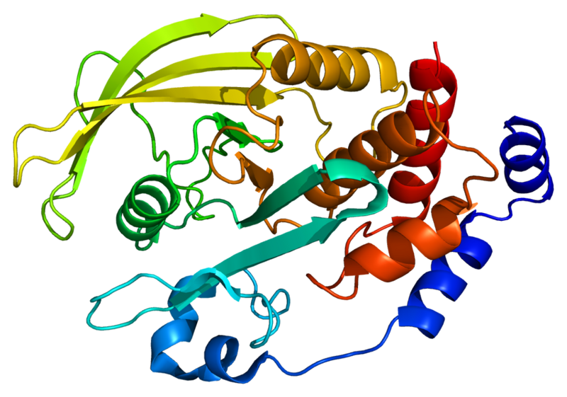 File:Protein PTPN2 PDB 1l8k.png