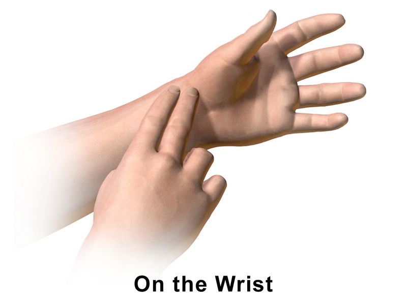 File:Pulse (Wrist).png