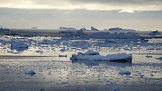 Icebergs from the Ilulissat Icefjord float north with the West Greenland Current towards Baffin Bay, to then return south along the coast of Baffin Island and Labrador Peninsula. Qeqertarsuup-tunua-oqaatsut-ilulissat.jpg
