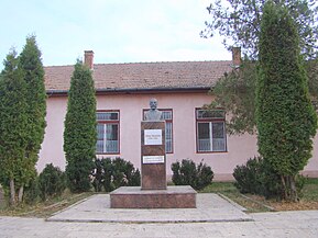 Bustul lui Vasile Moldovan din satul Chirileu (monument istoric)