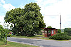 Čeština: Zastávka v Rabakově English: Bus stop in Rabakov, Czech Republic.