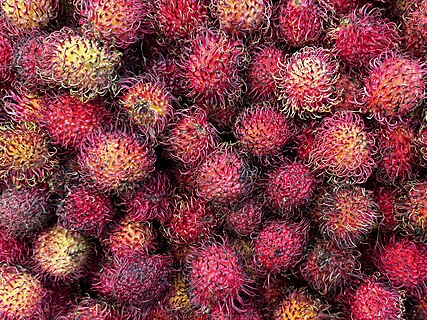 Rambutan fruits for sale outdoors, Colatina