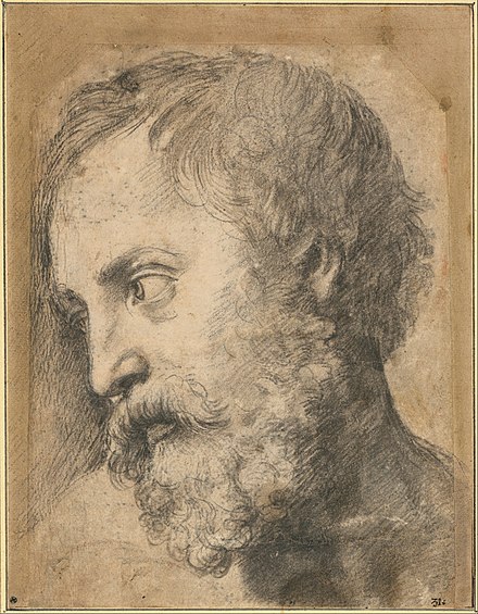 Study of the Head of an Apostle, black chalk over pouncing, c. 1519