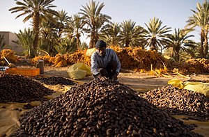 联合国教科文组织非物质文化遗产名录和优秀保护实践名册: 统计, 聯合國非物質文化遺產國家名單, 列表