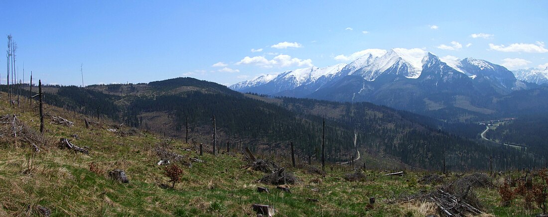 Repisko (Spišská Magura)