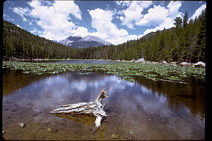 Rocky Mountain National Park ROMO9113.jpg