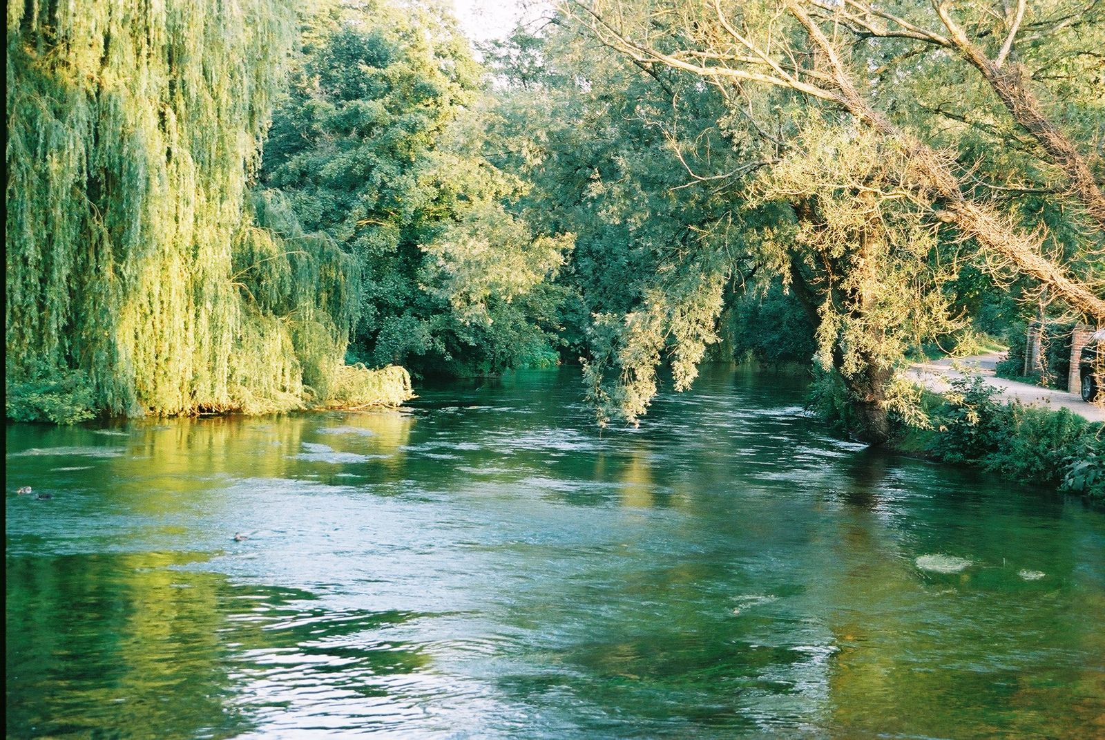 Южная вода. Река тест Англия. Тест речка. NDT River. The River Test Japa.