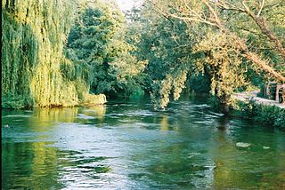 River Test River in Hampshire, England