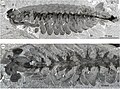 2022年4月12日 (火) 01:52時点における版のサムネイル