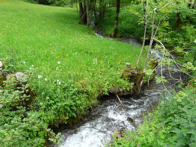 File:Ruisseau Colantigue Bourg d'Oueil aval (1).jpg