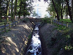 Ruisseau le Rosne