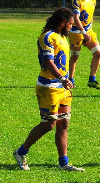 <span class="mw-page-title-main">Sean Morrell</span> Rugby player