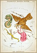 Plate 13: Delphinus, Sagitta, Aquila, and Antinous