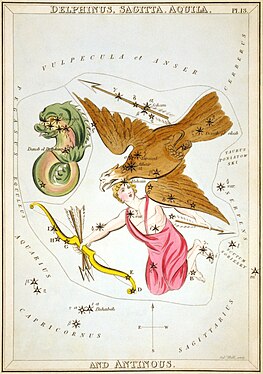 Sidney Hall - Urania's Mirror - Delphinus, Sagitta, Aquila, and Antinous.jpg