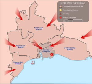 Sitio De Mariúpol: Contexto, Desarrollo del asedio, Batallón Azov