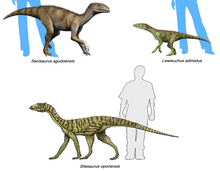 Silesauridae.png