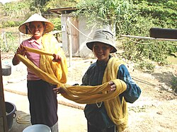 Two Laotian women and their silk product. Silk dying.JPG