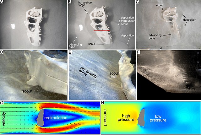 Actualistic taphonomy seeks to understand taphonomic processes through experimentation, such as the burial of bone.